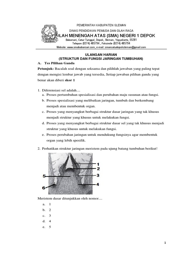  Soal  Uraian Struktur Dan  Fungsi Jaringan  Tumbuhan  