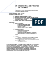 Evaluacion Ergonomica de Puestos de Trabajo