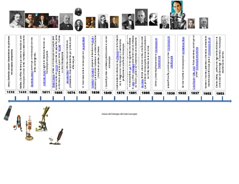Línea Del Tiempo Del Microscopio Microscopio Microscopía