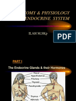 Anatomy & Physiology Endocrine System: Ilah M, SKP