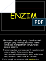 Enzim 2018