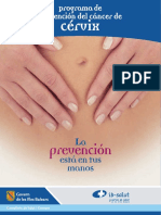Programa Prevencion Cancer Cervix 2004