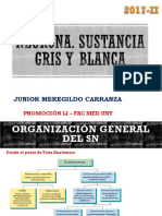 01 Neurona. Sustancia Gris y Blanca PDF