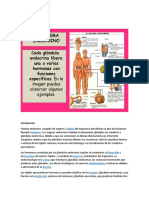 Sistema Endocrino