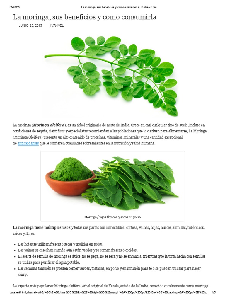 Beneficios y consumo de la moringa | PDF | Alimentos | Té, image size:768x1024