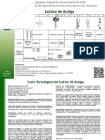 ACELGA.pdf