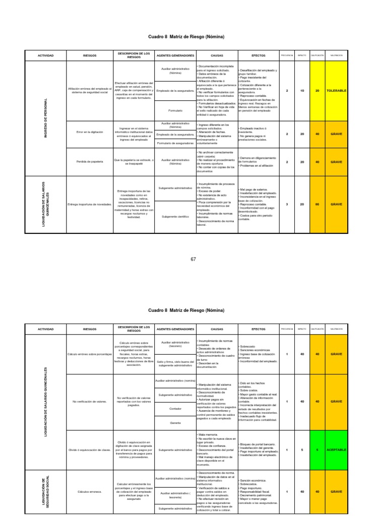 Matrices de Riesgo PDF | PDF | Nómina de sueldos | Contabilidad