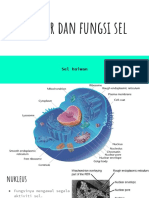 Struktur Dan Fungsi Sel (ADRINA)