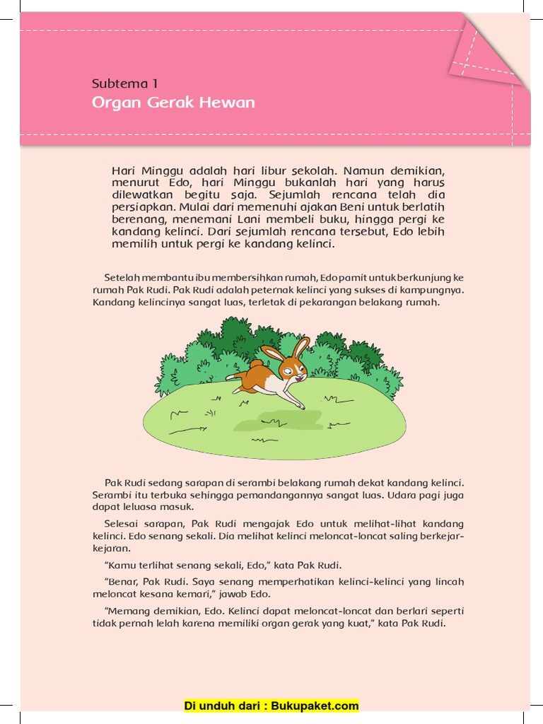 Gambar Ilustrasi  Siput  Bukanlah Hewan  Lemah Gambar Ilustrasi 