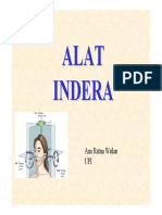 Alat Indera PDF