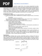 Cargas Moveis e Linhas de Influencia