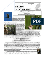 Estern Eadowlark: San Bernardino Valley Audubon Society