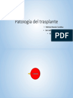 Trasplante Resumen Anatomia Patologica