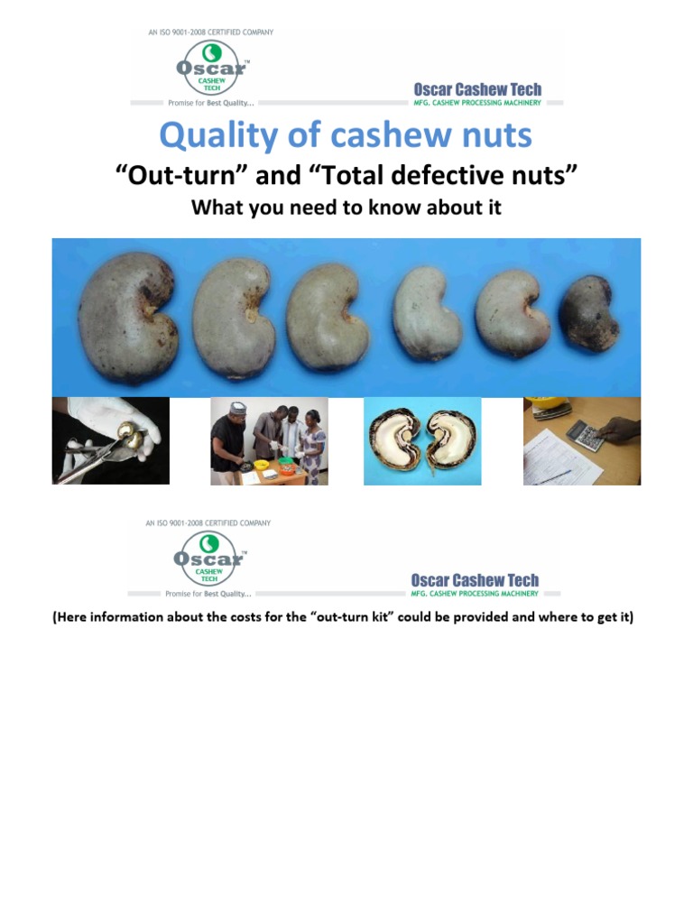 How To Calculate LBS of Raw Cashew What You Need To Know About It PDF