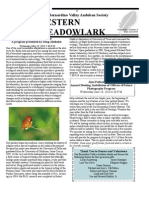 Estern Eadowlark: San Bernardino Valley Audubon Society