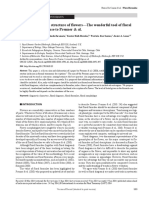 Floralformulae Taxon PDF