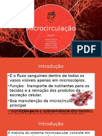 Microcirculação