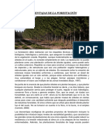 Desventajas de La Forestación