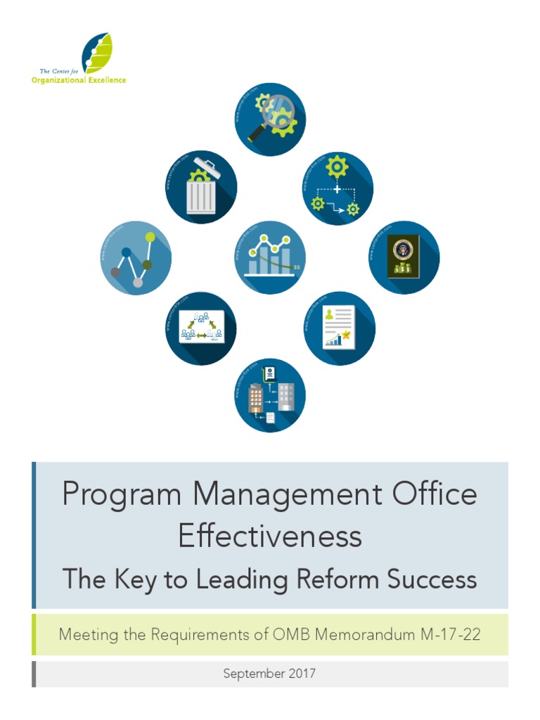 Program Management Office Effectiveness | Download Free PDF ...