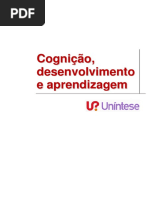 Funções-cognitivas
