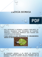 Energía Biomasa