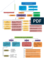 Mapa Conceptual de Organizacion