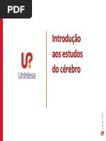 Unintese o Cerebro Parte 