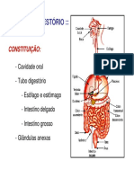 Digestorio1 Bio PDF