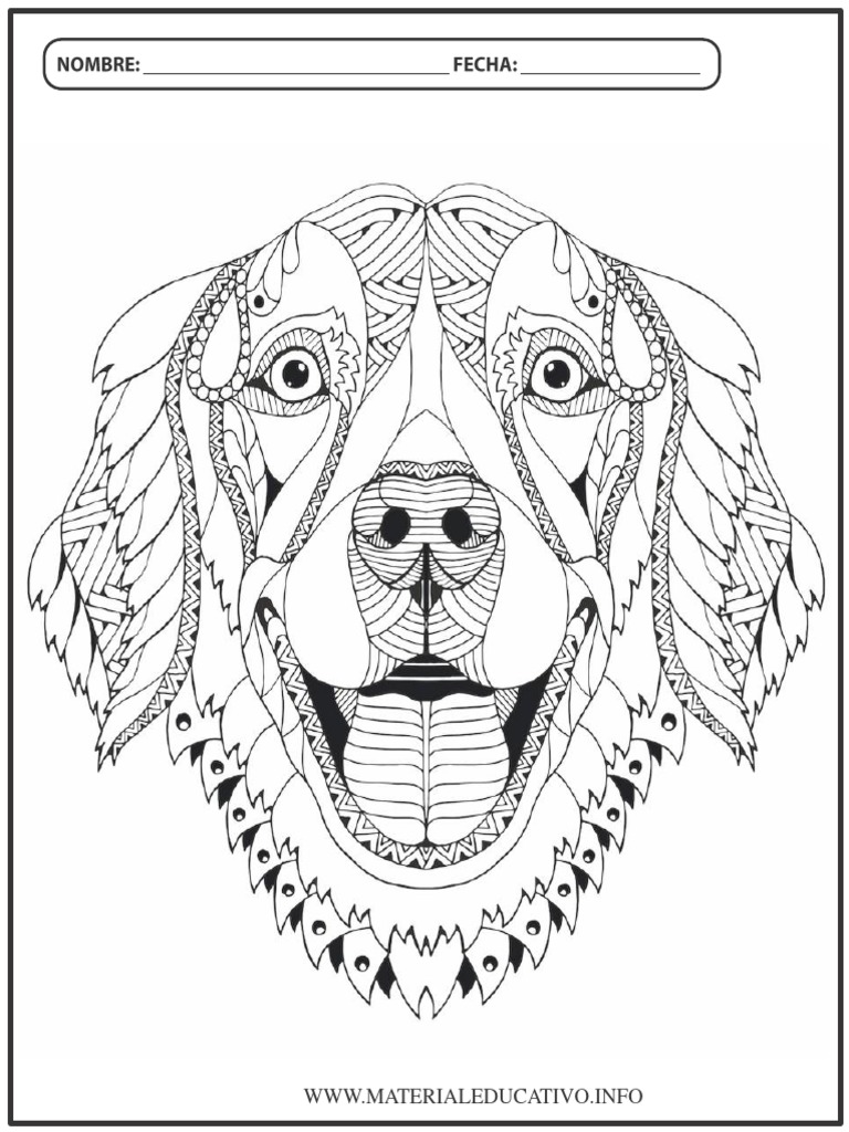 Dibujos Para Colorear De Mandalas De Animales