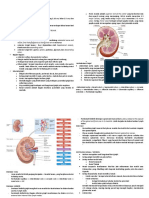 JM Case 1 Glomerulonephritis