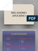 Mecanismo Apocrino y Secresion de Mucina