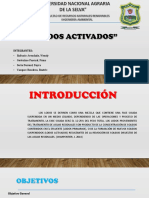 Lodos Activados