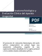 Integración Anatomofisiológica y Evaluación Clínica del Aparato Urogenital.pptx