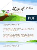 Economía Ambiental II-2018