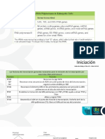 Iniciación de la transcripción por la ARN polimerasa II