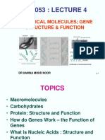 Lecture 4 (Cell Mol Biology - Biological Molecules - Gene Structure Function)