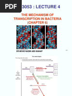 Lecture 4 - Mechanism of Transcription in Bacteria.ppt