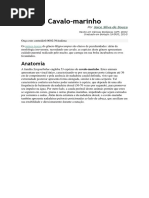 Solicitud Para Uniformes