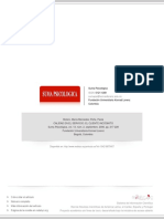 Cliente Incognito-Paper PDF