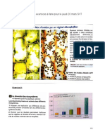 Liste Exercices Photosynthèse Début Pétrole