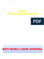 Bayi Lahir Normal.pptx