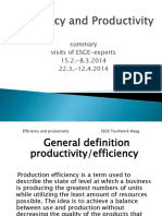 Efficency and Productivity