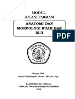 Modul Botani Farmasi Buah Dan Biji - Indah Yulia Ningsih PDF