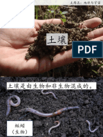 土壤 PDF