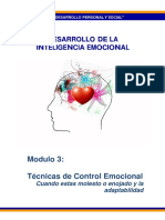 Desarrollo de La Inteligencia Emocional