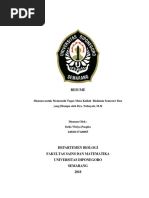 Surat Pengesahan Majikan Sample