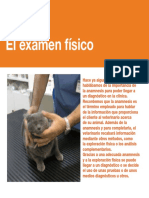 13-Examen_fisico.pdf