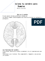 Resumen Cerebro