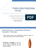 ANATOMIA Y FISIOLOGIA FUNCIONAL CLASE 2 