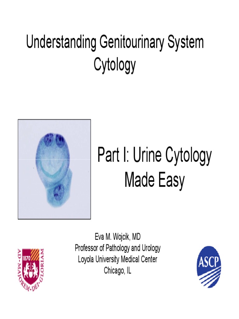 Understanding Genitourinary System Cytology | PDF | Cytopathology ...